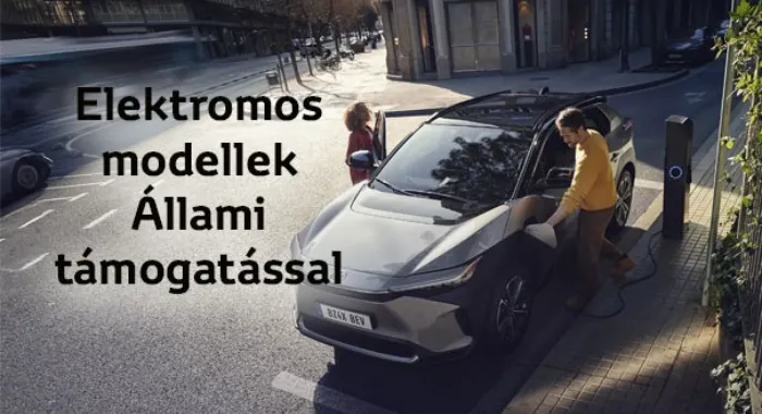 Elektromos modellek - Állami támogatással