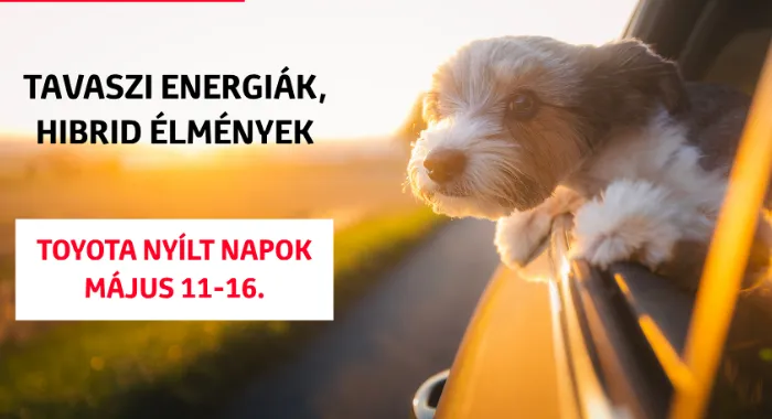 Toyota ajánlatok