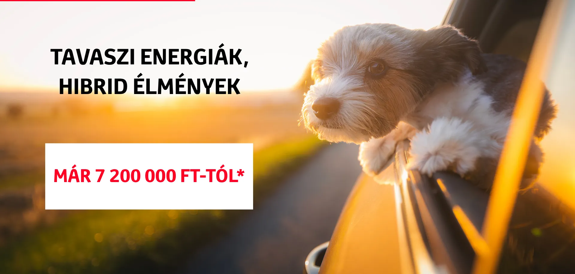 Limitált ajánlatok